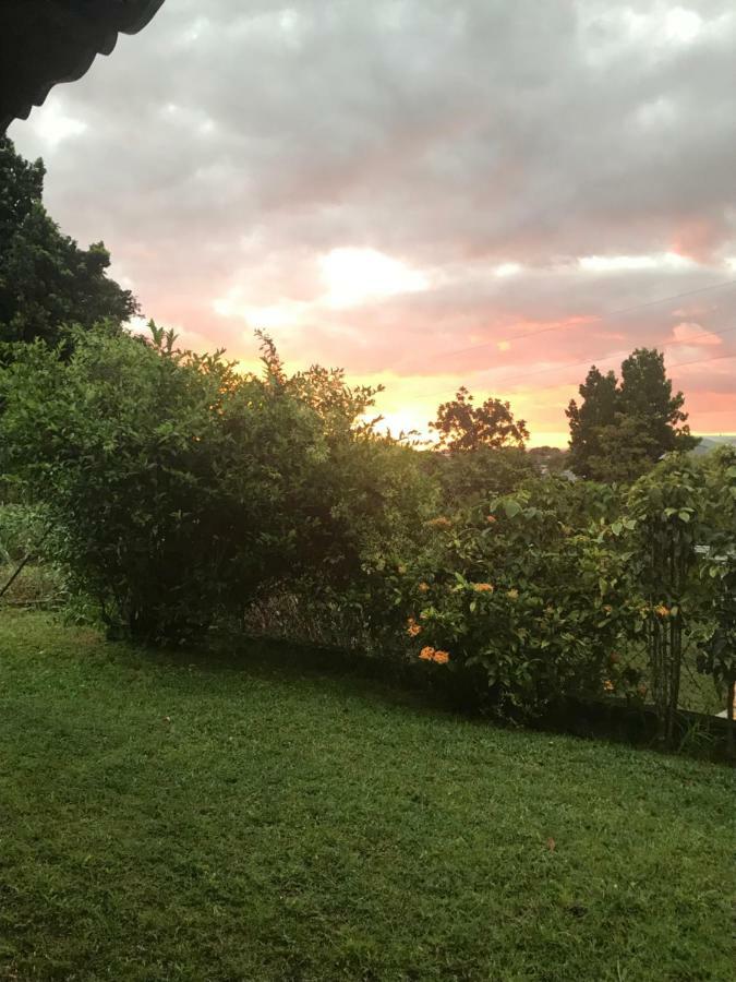 Charmant Bungalow Au Coeur De L'Ile Baie-Mahault Esterno foto